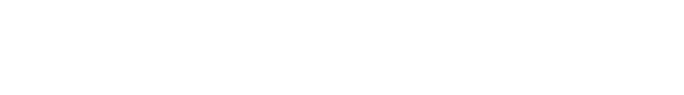 AMI-logo-white